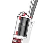 Do I Need A Vacuum Cleaner With A HEPA Filter