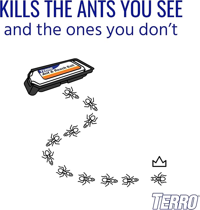 Pest Control Near Me