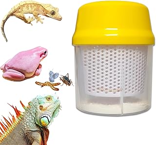 Pest Control Near Me