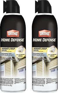 Pest Control Near Me