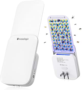 Pest Control Near Me