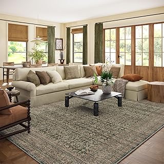 Which is better Shark or Eufy robot vacuum