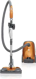 Upright vs Canister Vacuum for Carpet