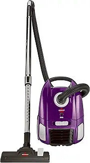 Bag vs Bagless Vacuum Cleaners Review
