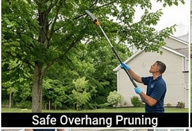 Cheapest $25 Lawn Service Near Me