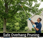 Tree Trimming Cost Per Hour Near Me