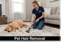 Eco Friendly House Cleaners Near Me in USA