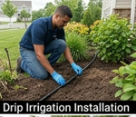 Cheap grass cutting near me in usa