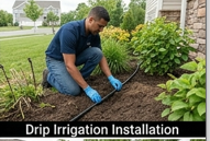 Cheap grass cutting near me in usa