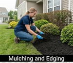 Cheapest $25 Lawn Service Near Me