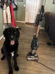 Bissell CrossWave HydroSteam Deluxe Wet Dry Vacuum Reviews